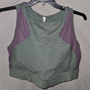 Fabletics Sage and Plum Sports Bra